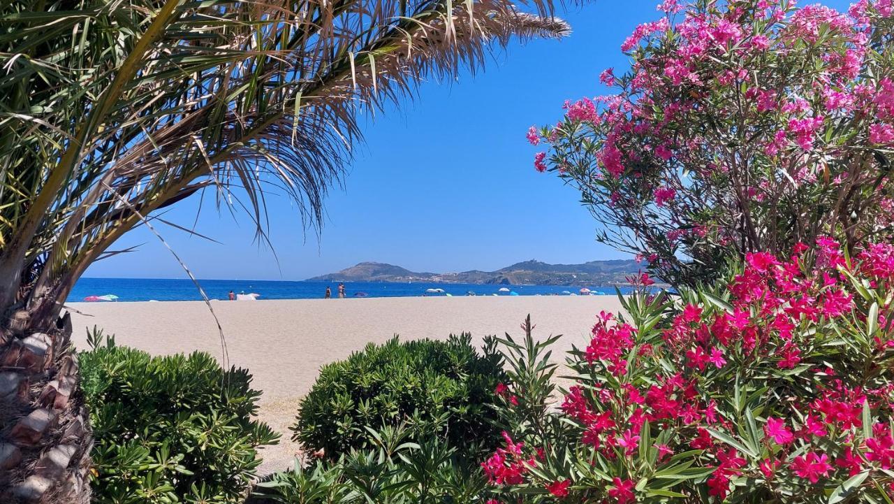 Sur La Plage, Super Studio Avec Vue Sur La Mer Plage d'Argeles ภายนอก รูปภาพ